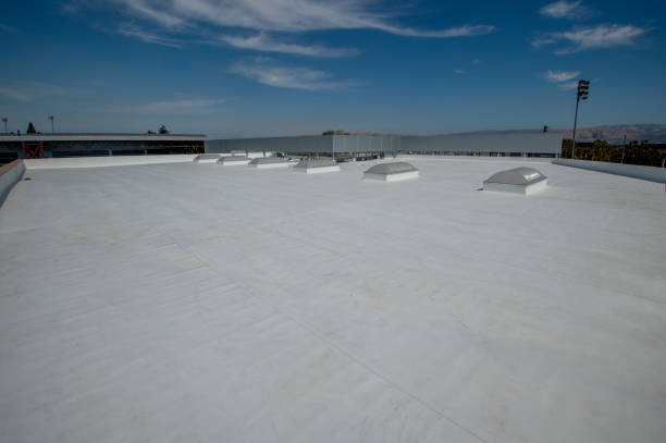 Best Hot Roofs  in Haslett, MI