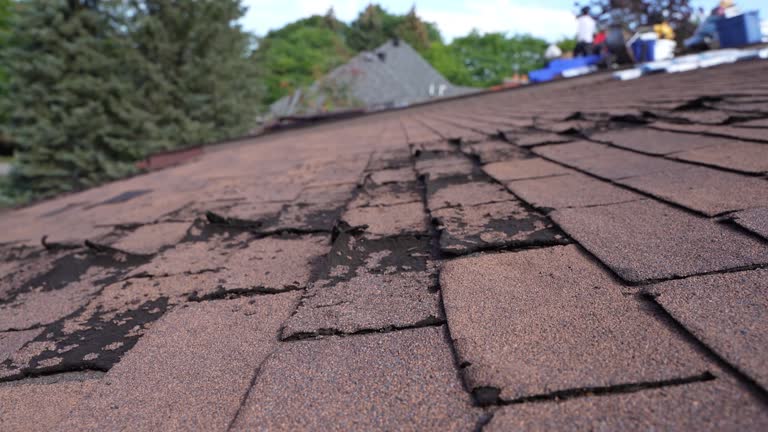 Best Flat Roofing  in Haslett, MI