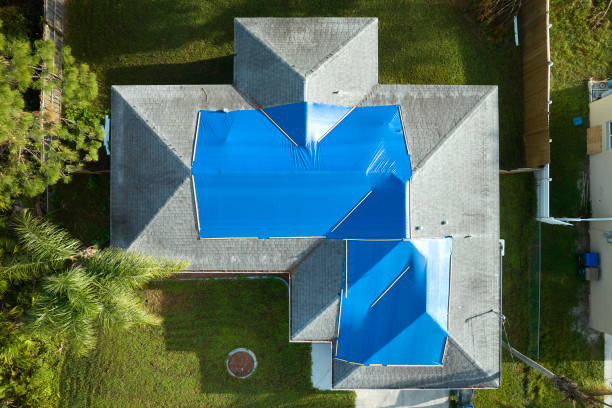 Best Asphalt Shingles Roofing  in Haslett, MI