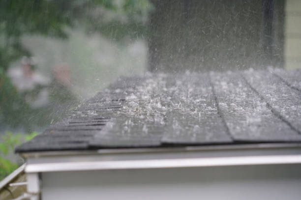 Trusted Haslett, MI Roofing Service Experts