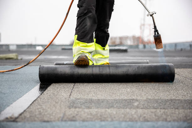 Best Solar Panel Roofing Installation  in Haslett, MI