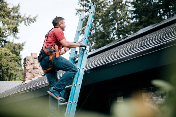 Best 4 Ply Roofing  in Haslett, MI