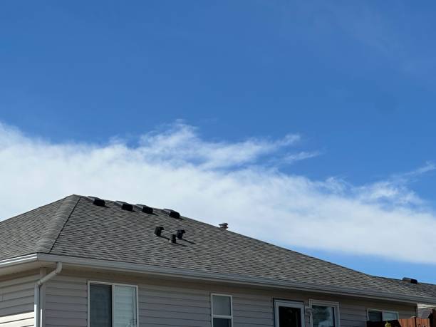 Best Roof Coating Services  in Haslett, MI